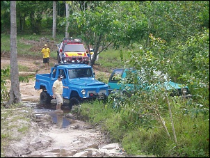 Trilhas No Amazonas-taruma6.jpg