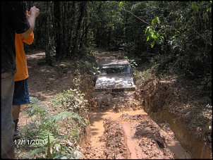Verde 1-im000070.jpg