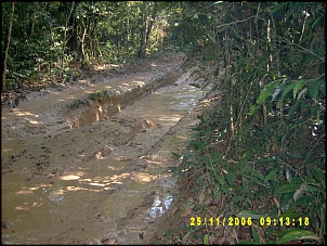 Verde 1-imagens-027.jpg