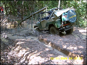 Verde 1-00016.jpg