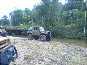 Trilhas No Amazonas-jabuti-4.jpg
