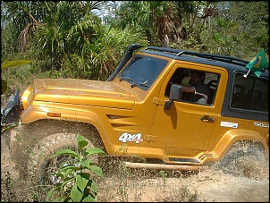 Trilhas No Amazonas-igarapepenitenciaria1.jpg