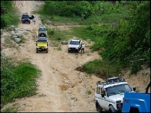 Trilhas No Amazonas-ab3.jpg