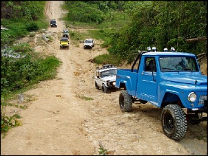 Trilhas No Amazonas-ab4.jpg
