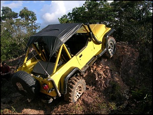 Trilhas No Amazonas-6.jpg