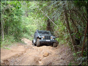 Trilha em Sta Catarina 14/11 !!!!Com relatos e FOTOS!!!!-dsc01159_102.jpg