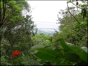 Trilha em Sta Catarina 14/11 !!!!Com relatos e FOTOS!!!!-dsc01155_112.jpg