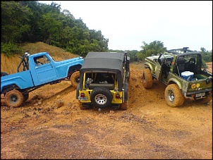 Trilhas No Amazonas-1.jpg