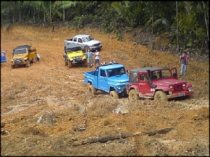 Trilhas No Amazonas-3.jpg