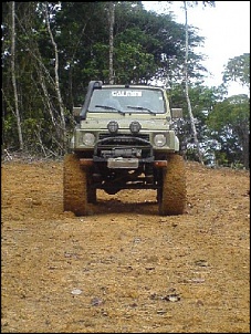 Trilhas No Amazonas-5.jpg