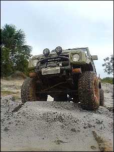 Trilhas No Amazonas-8.jpg