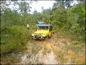 Trilhas No Amazonas-11.jpg