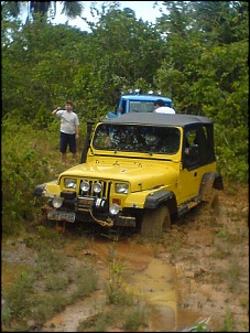 Trilhas No Amazonas-12.jpg