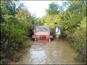 Trilhas No Amazonas-15.jpg
