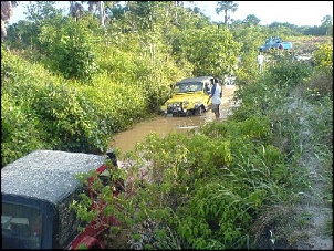 Trilhas No Amazonas-18.jpg