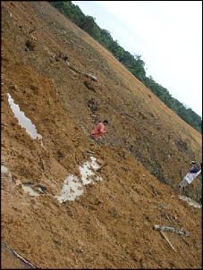 Trilhas No Amazonas-21a.jpg