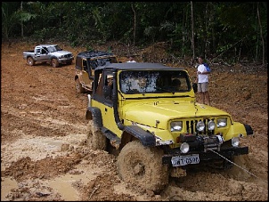 Trilhas No Amazonas-25.jpg