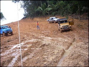 Trilhas No Amazonas-28.jpg