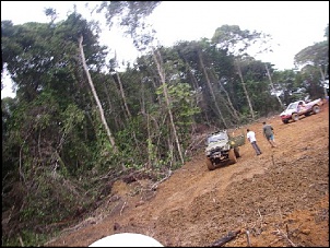 Trilhas No Amazonas-30.jpg