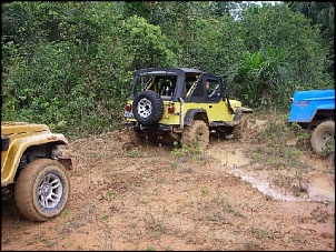 Trilhas No Amazonas-31.jpg