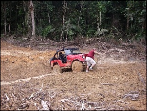 Trilhas No Amazonas-32.jpg
