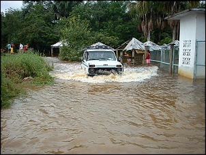 Trilhas No Amazonas-juca_igarape_conceicao.jpg