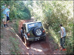 Serra da Cantareira - Quem se habilita?-pinheirinho-013.jpg