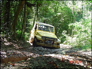 -verde-1-pe-na-trilha-1-.-036.jpg
