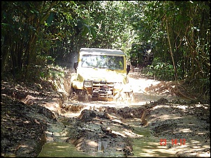 -verde-1-pe-na-trilha-1-.-113.jpg