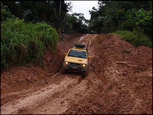 -amazonia_1523_889.jpg