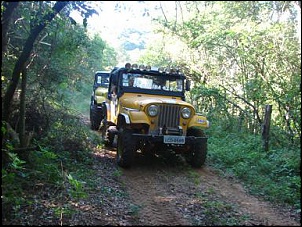 Trilhas no Sul-dsc01977.jpg