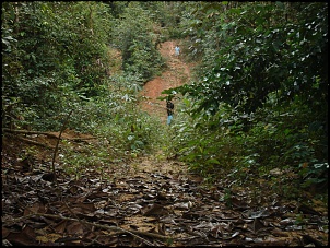 Trilhas No Amazonas-dsc03819.jpg