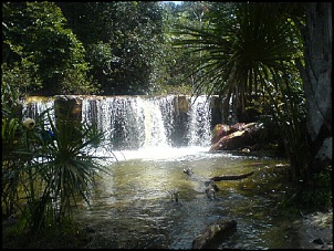 Trilhas No Amazonas-dsc00286.jpg