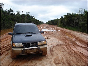 Trilhas No Amazonas-12.jpg