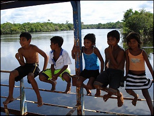 Trilhas No Amazonas-15.jpg