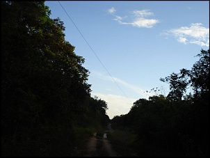 Trilhas No Amazonas-24.jpg