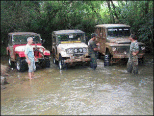 Trilha-figura_100_558.gif