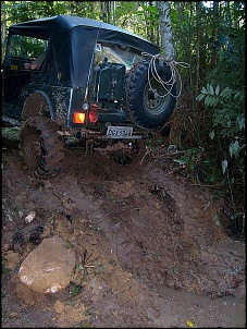 -s6300026.jpg