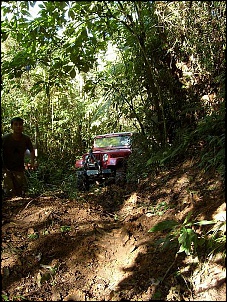 -s6300029.jpg