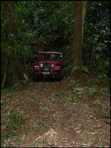 -s6300039.jpg