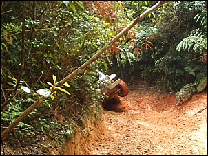 Trilha em Sta Catarina, quem vem?-s2010056_206.jpg