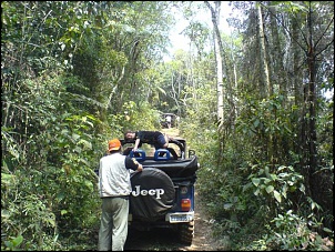-perdidos-na-mata-087-small-.jpg