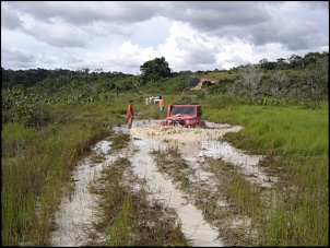 Trilhas No Amazonas-trilha-cana-brava-215.jpg