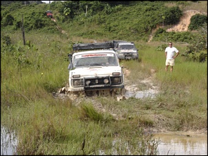 Trilhas No Amazonas-trilha-cana-brava-217.jpg