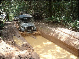 Trilha/Passeio - PARANAPIACABA-verde3_-043a.jpg