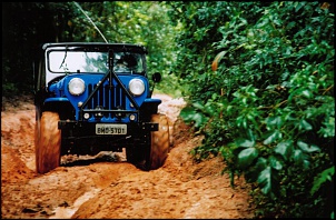 Pinheirinho-edc2_104.jpg