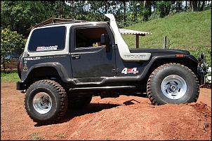 Troller com 35&quot;-dsc01389.jpg