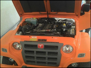 Novo troller 2013-t4.jpg