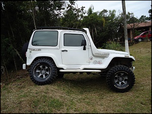 Troller Branco-dsc00932.jpg