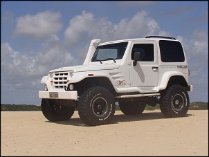 Troller Branco-dsc02091.jpg
